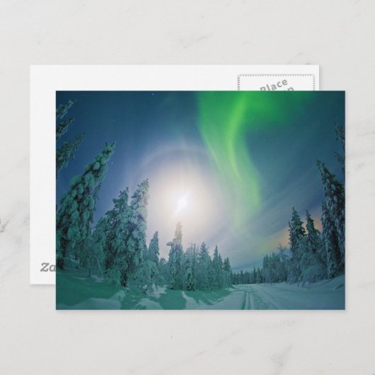 Aurora Borealis Briefkaart (Voorkant / Achterkant)