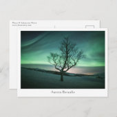 Aurora Borealis Briefkaart (Voorkant / Achterkant)