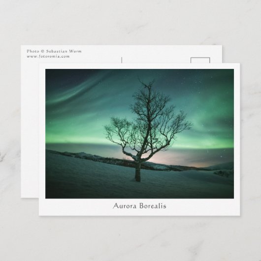 Aurora Borealis Briefkaart (Voorkant / Achterkant)