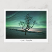 Aurora Borealis Briefkaart (Voorkant)