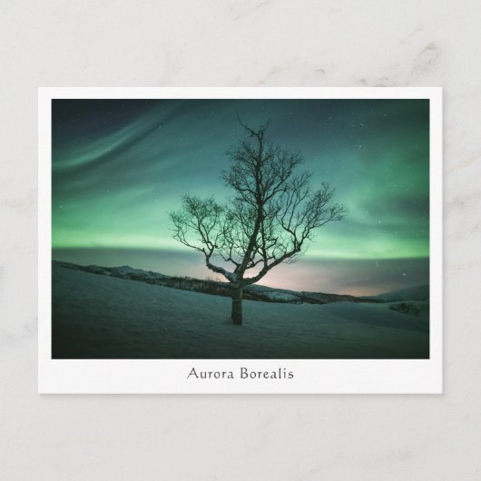 Aurora Borealis Briefkaart (Voorkant)