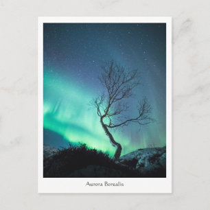 Aurora Borealis Briefkaart