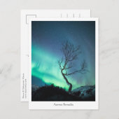 Aurora Borealis Briefkaart (Voorkant / Achterkant)
