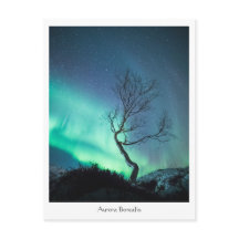 Aurora Borealis