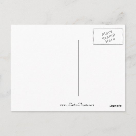 Aurora borealis-Briefkaart Briefkaart (Achterkant)