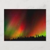 Aurora Borealis en bomen Briefkaart (Voorkant)