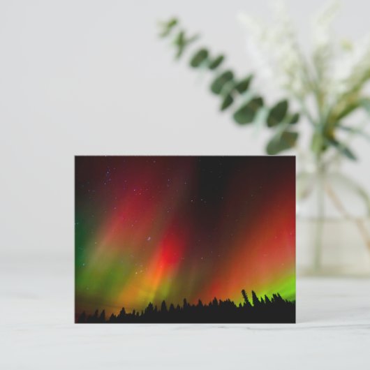 Aurora Borealis en bomen Briefkaart (Staand voorkant)