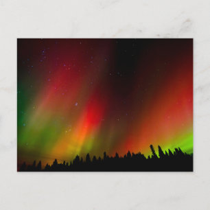 Aurora Borealis en bomen Briefkaart