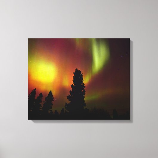 Aurora Borealis en Bomen Canvas Afdruk (Voorkant)