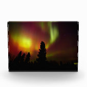 Aurora Borealis en Bomen Fotoblokken (Voorkant)