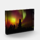 Aurora Borealis en Bomen Fotoblokken (Links)