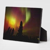 Aurora Borealis en bomen Fotoplaat (Zijkant)