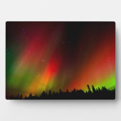 Aurora Borealis en bomen Fotoplaat (voorkant)