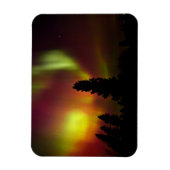 Aurora Borealis en Bomen Magneet (Verticaal)