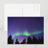 Aurora Borealis en bomen | Manitoba, Canada Briefkaart (Voorkant / Achterkant)