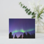 Aurora Borealis en bomen | Manitoba, Canada Briefkaart (Staand voorkant)