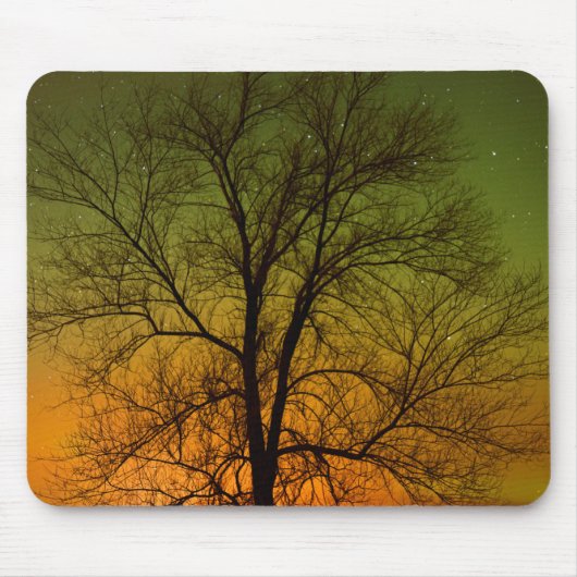 Aurora Borealis en Cottonwood Tree Muismat (Voorkant)