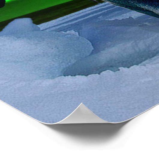 Aurora borealis en pinguïns poster (Hoek)