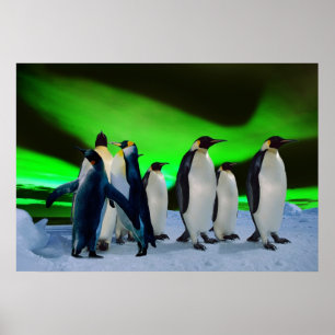 Aurora borealis en pinguïns poster