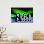 Aurora borealis en pinguïns poster (Keuken)