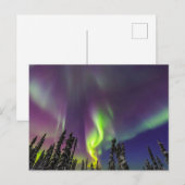 Aurora Borealis | Fairbanks, Alaska Briefkaart (Voorkant / Achterkant)