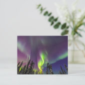 Aurora Borealis | Fairbanks, Alaska Briefkaart (Staand voorkant)