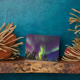 Aurora Borealis Fairbanks, Alaska Fotoplaat