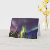 Aurora Borealis | Fairbanks, Alaska Kaart (Gele Bloem)