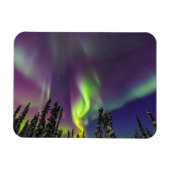 Aurora Borealis | Fairbanks, Alaska Magneet (Horizontaal)