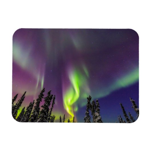 Aurora Borealis | Fairbanks, Alaska Magneet (Horizontaal)