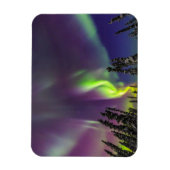 Aurora Borealis | Fairbanks, Alaska Magneet (Verticaal)