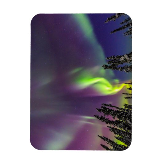 Aurora Borealis | Fairbanks, Alaska Magneet (Verticaal)