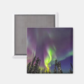 Aurora Borealis | Fairbanks, Alaska Magneet (Voorkant / Achterkant)