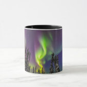 Aurora Borealis | Fairbanks, Alaska Mok (Midden)