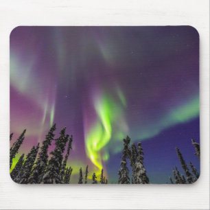 Aurora Borealis Fairbanks, Alaska Muismat