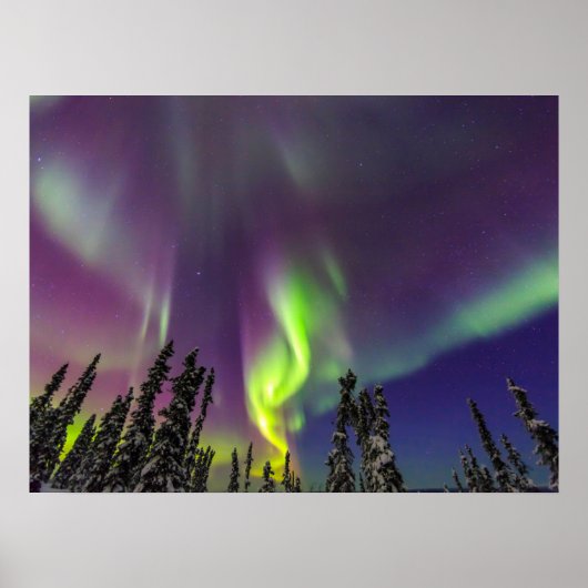 Aurora Borealis | Fairbanks, Alaska Poster (Voorkant)