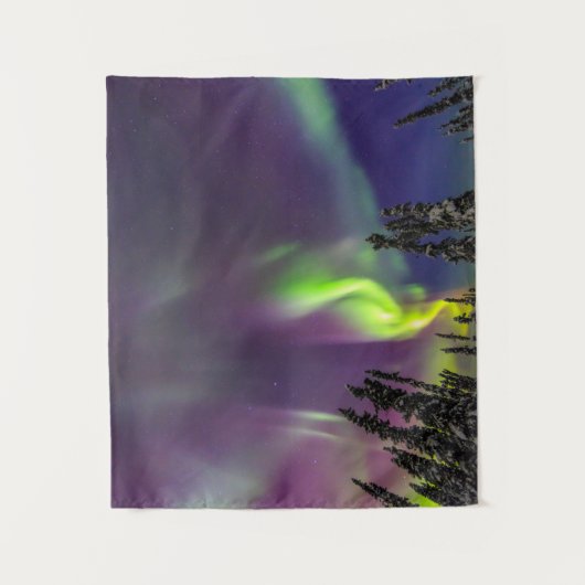 Aurora Borealis | Fairbanks, Alaska Wandkleed (Voorkant)
