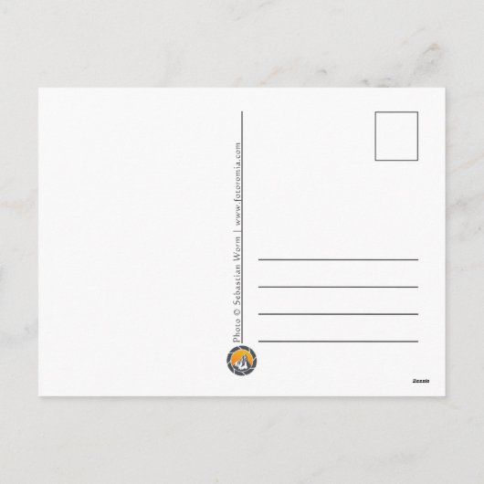 Aurora Borealis Feestdagenkaart (Achterkant)