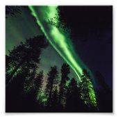 Aurora borealis, Finse Lapland Foto Afdruk (Voorkant)