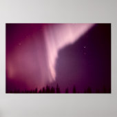 Aurora Borealis in Alaska Poster (Voorkant)
