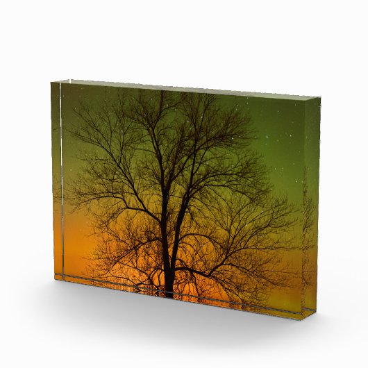 Aurora Borealis & Katoenboom Fotoblokken (Rechts)