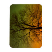 Aurora Borealis & Katoenboom Magneet (Verticaal)