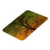 Aurora Borealis & Katoenboom Magneet (Linkerzijde)