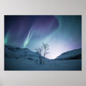 Aurora Borealis Night Poster (Voorkant)