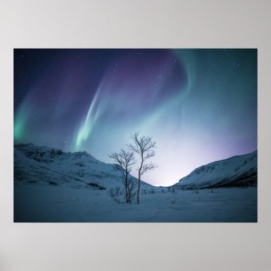 Aurora Borealis Night Poster (Voorkant)