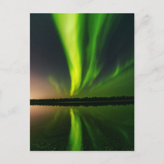 Aurora Borealis Noordelijke lichten IJsland Briefkaart (Voorkant)