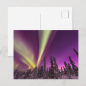 Aurora Borealis Noordelijke Lichten Luchtbanken Al Briefkaart (Voorkant / Achterkant)
