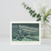 Aurora Borealis / Noorderlicht Afbeelding Briefkaart (Staand voorkant)