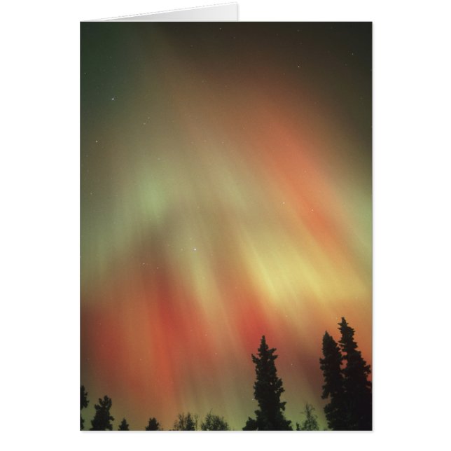 Aurora Borealis, Noorderlicht, Fairbanks (Voorkant)