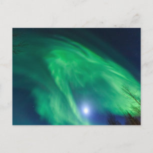 Aurora Borealis Noorderlicht   Fairbanks Briefkaart